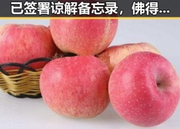 伊朗外交部发言人宣布美伊已签署谅解备忘录，佛得角队逼平西班牙引发470万美元一夜归零风波