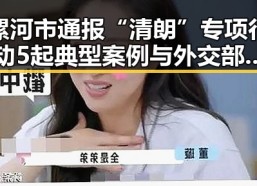 漯河市通报“清朗”专项行动5起典型案例 与外交部警示威胁中国驻日使领馆安全事件持续升级