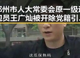 郑州市人大常委会原一级巡视员王广灿被开除党籍引发关注，世界杯姆巴佩梅开二度成焦点