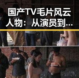 国产TV毛片风云人物：从演员到行业变革者的动向