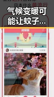 气候变暖可能让蚊子更疯狂端午出游注意有人白花了1000块