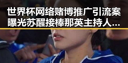 世界杯网络赌博推广引流案曝光苏醒接棒那英主持人证成亮点