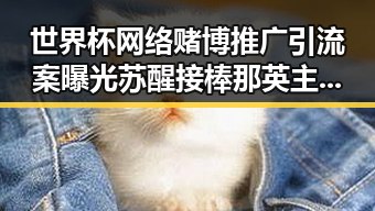 世界杯网络赌博推广引流案曝光苏醒接棒那英主持人证成亮点