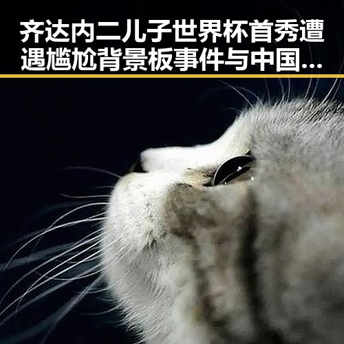 齐达内二儿子世界杯首秀遭遇尴尬背景板事件与中国驻日使领馆安全威胁引发关注