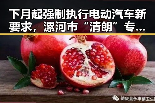 下月起强制执行电动汽车新要求,漯河市“清朗”专项行动典型案例引发关注